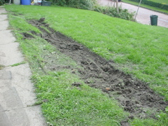 DSC03180
