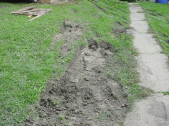 DSC03181