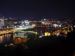 DSC02981
