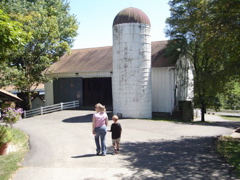 DSC09479
