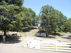 DSC09480