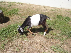 DSC09482