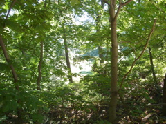 DSC09560